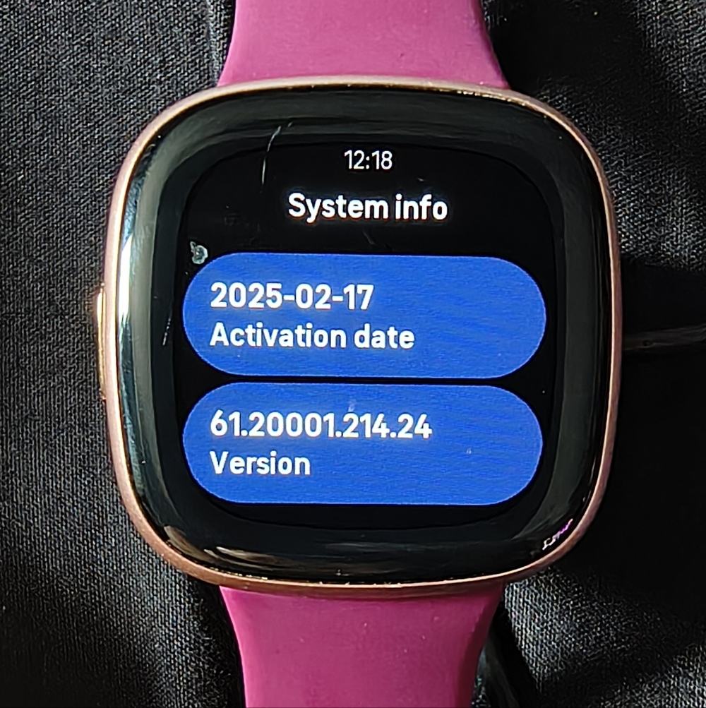 FITBIT VERSA 4 W/ 2 CHARGE CABLES - Picture 9 of 9